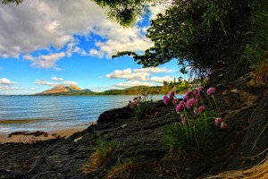 Things to Do in Westport - Drive The Coast Road and take in Old Head Beach