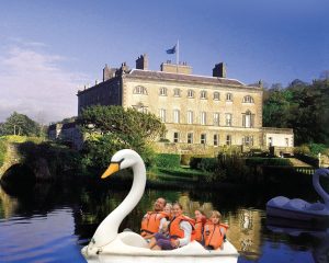 Swan and House Montage_crop