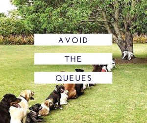 avoid the queues