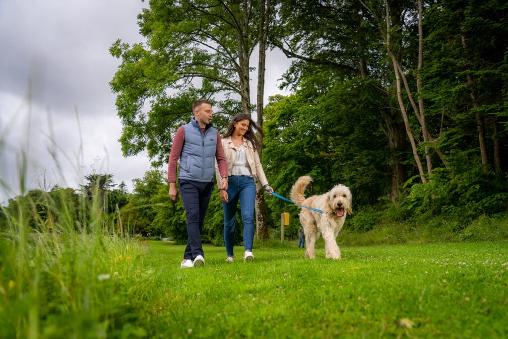 Beautiful, scenic walk Westport. Westport House grounds.