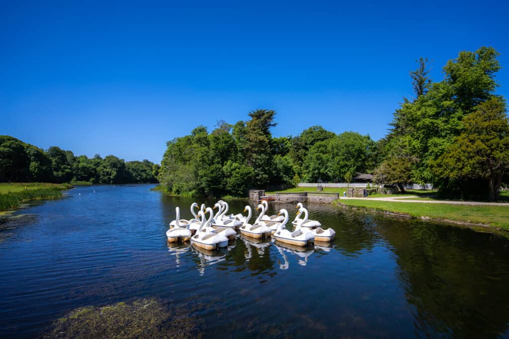 You'll have the best view of Westport Estate from the lake during your Swan Pedalo ride.