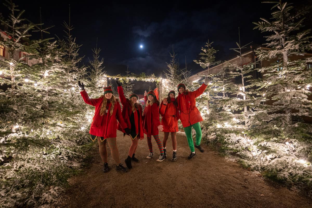 Santa's Elves will be spreading festive cheer and guiding you through your Winter Wonderland experience 