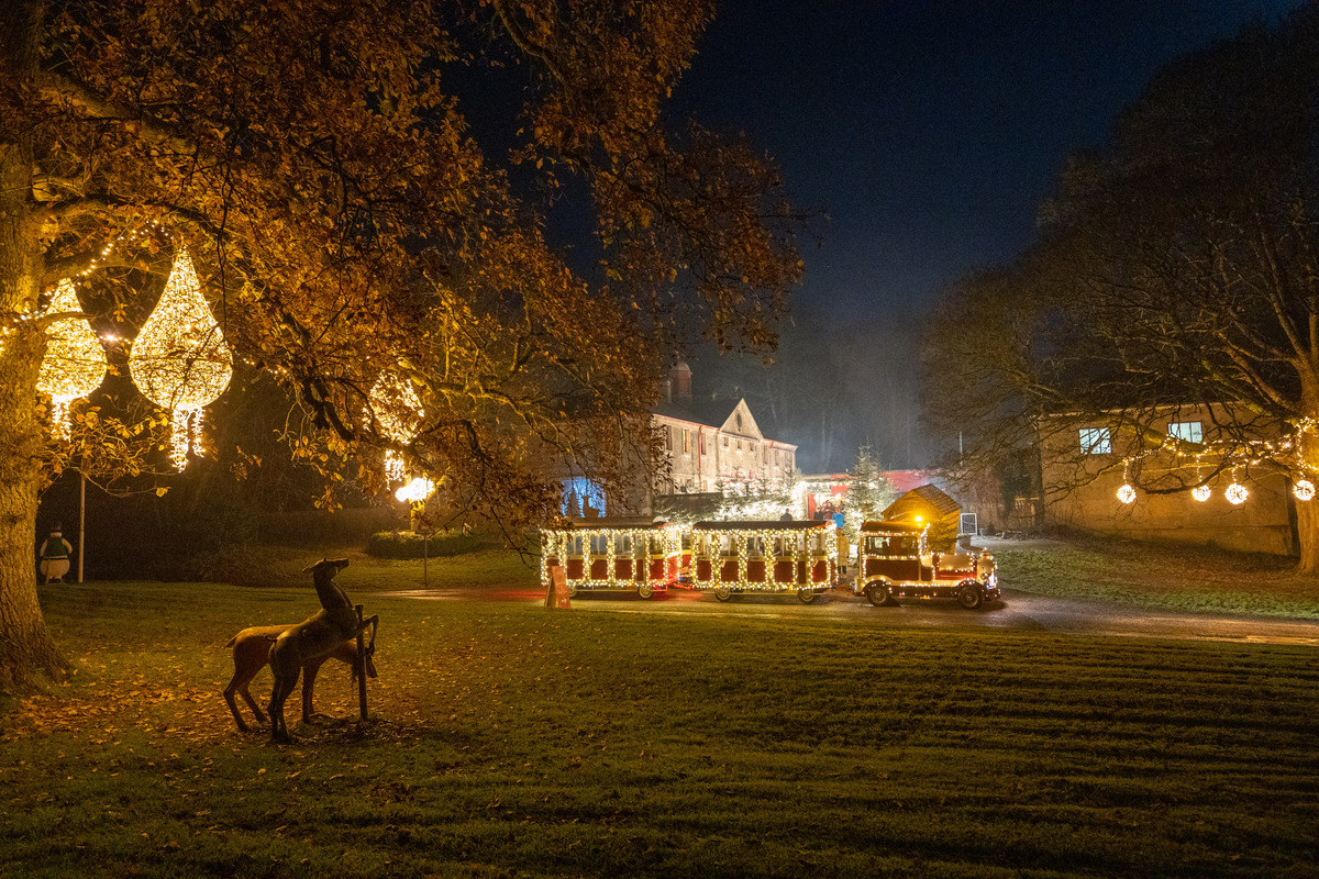 Dazzling Christmas lights decorate the grounds of Westport House for Winter Wonderland  