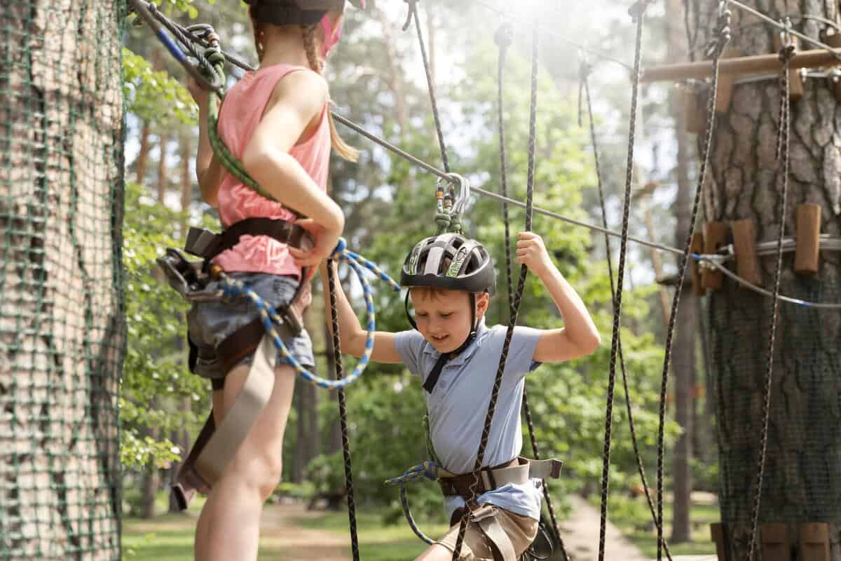 There's a brand new outdoor adventure park arriving at Westport House this year.