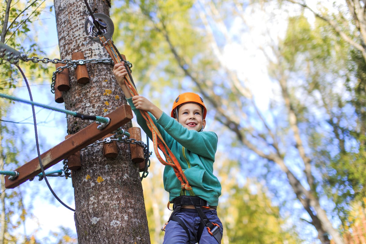 There's a brand new outdoor adventure park arriving at Westport House in 2024 