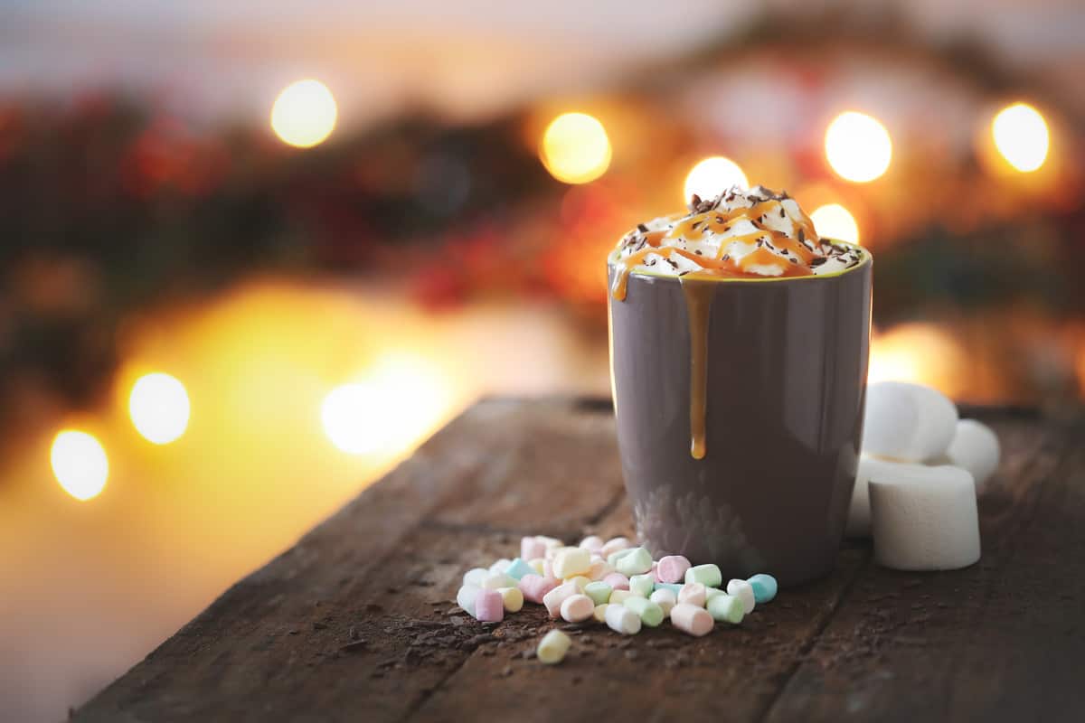 It wouldn't be Christmas without hot chocolate! Try our festive hot chocolate at Westport House