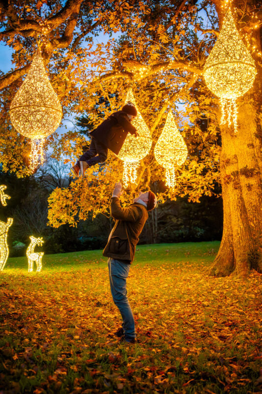 Winter is magical at Westport House.