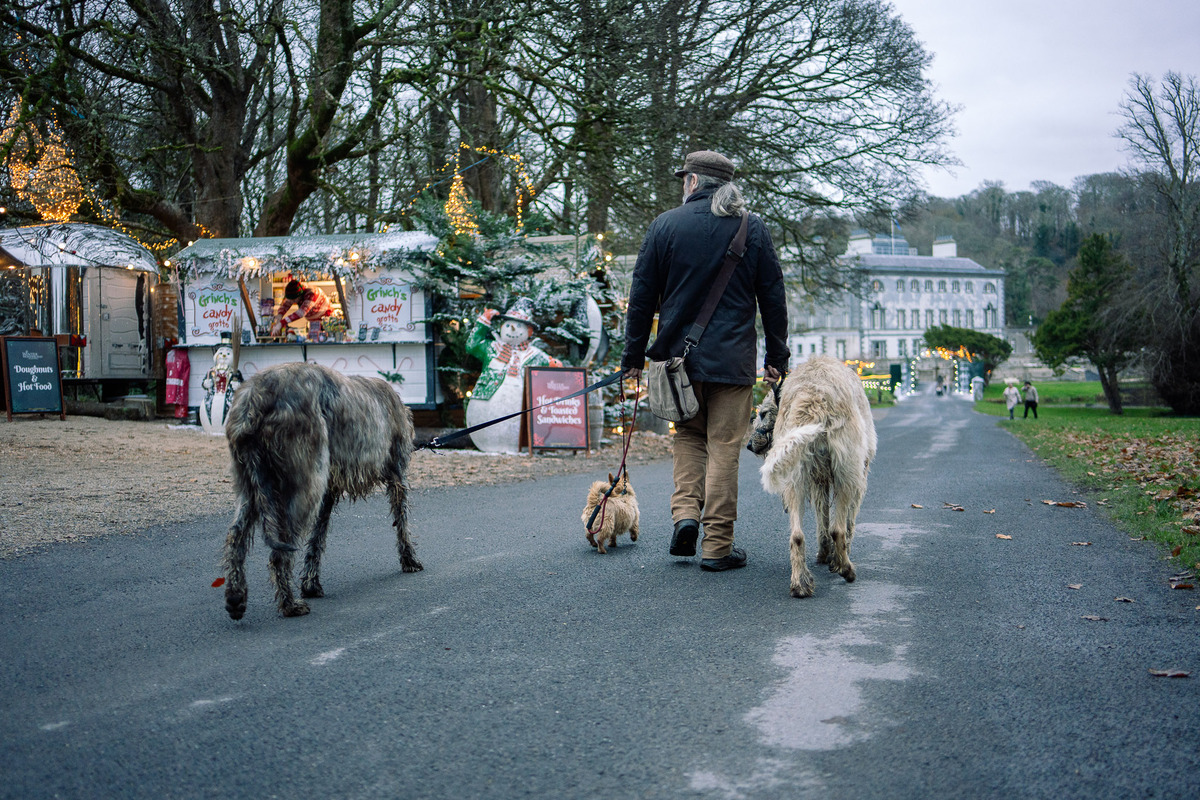 The grounds of Westport House a dog-walking friendly. 