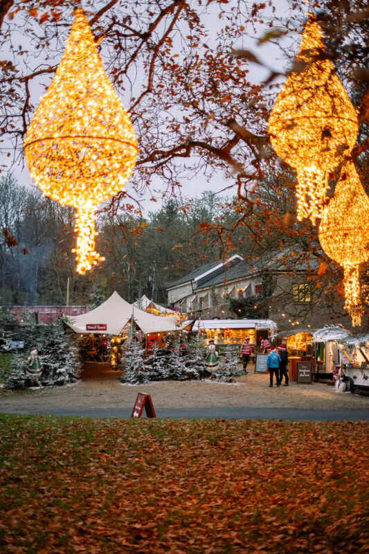 Experience the Christmas magic and walk the grounds of Westport House. 