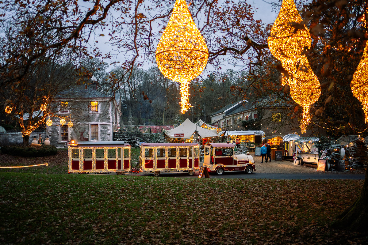 The grounds of Westport House are beautifully decorated during the winter. 