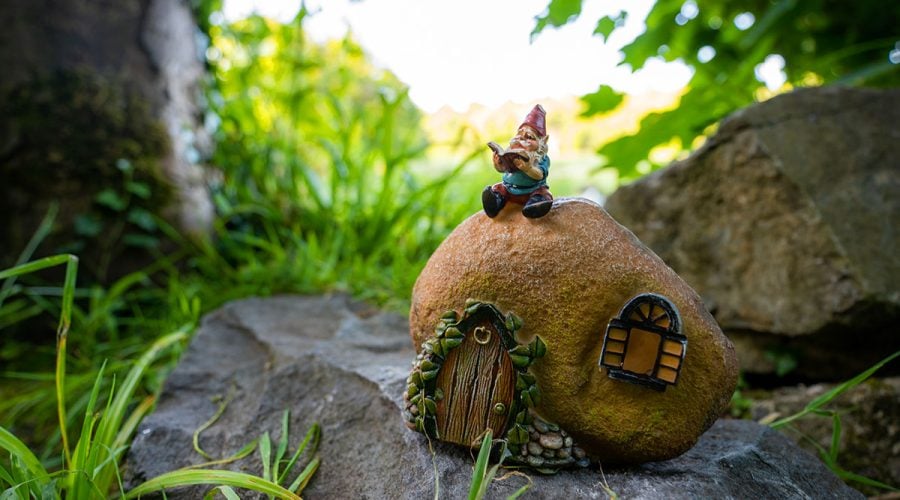 westport-house-grounds-trails-10