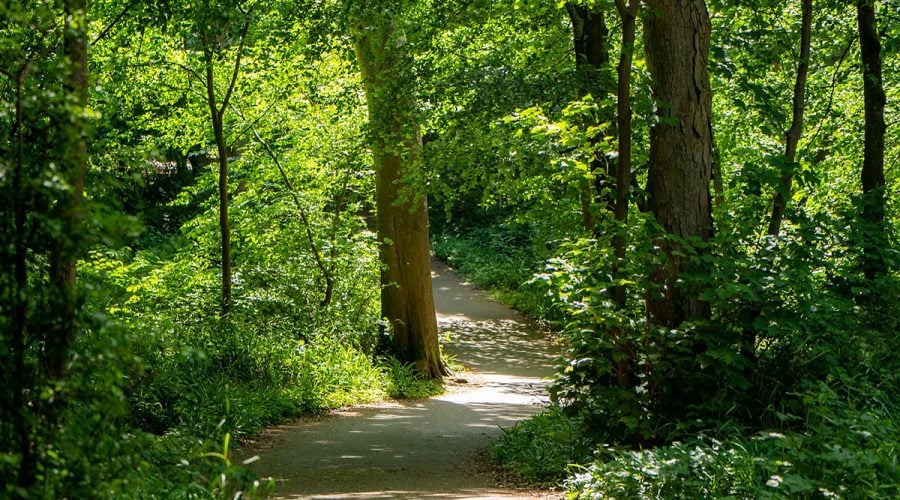 westport-house-grounds-trails-14